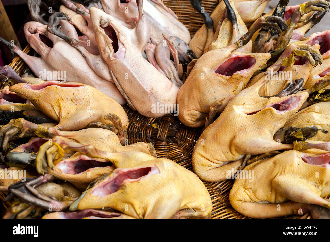 Materie fresche anatra organico per la vendita di cibo asiatico mercati Foto Stock
