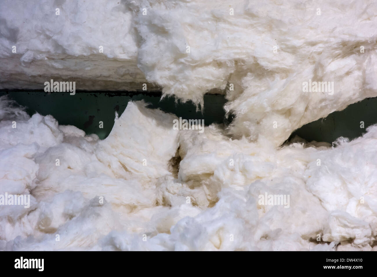 Close up di raccolte, materie, non trattate le fibre di cotone in cotone mill Foto Stock
