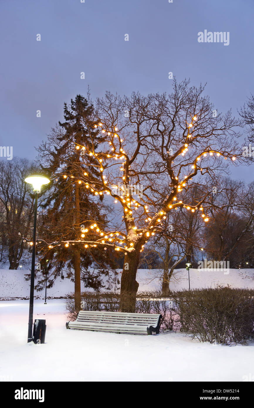 Bianco lungo una panchina nel parco sotto albero illuminato in una notte d'inverno Foto Stock