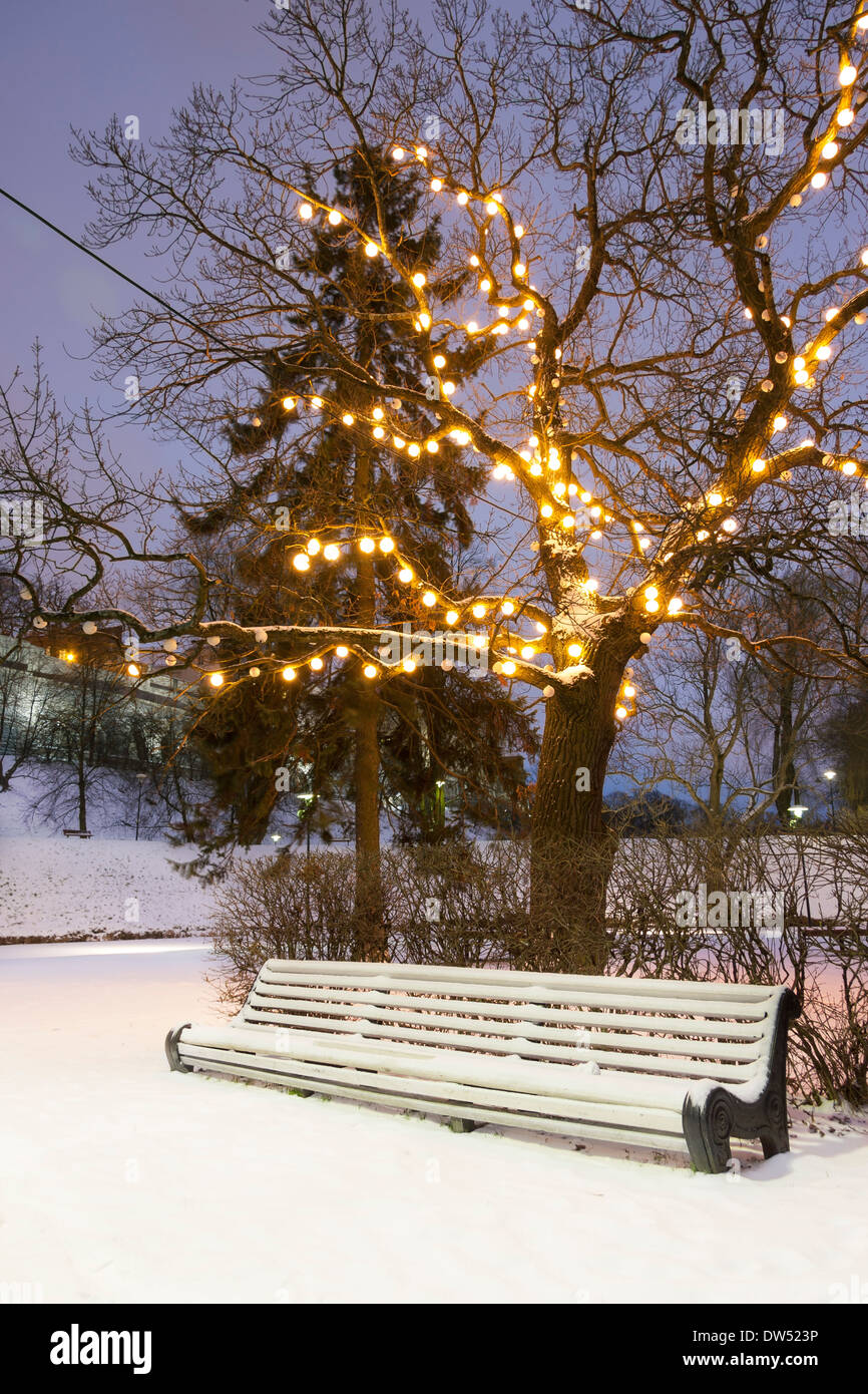 Bianco lungo una panchina nel parco sotto albero illuminato in una notte d'inverno Foto Stock