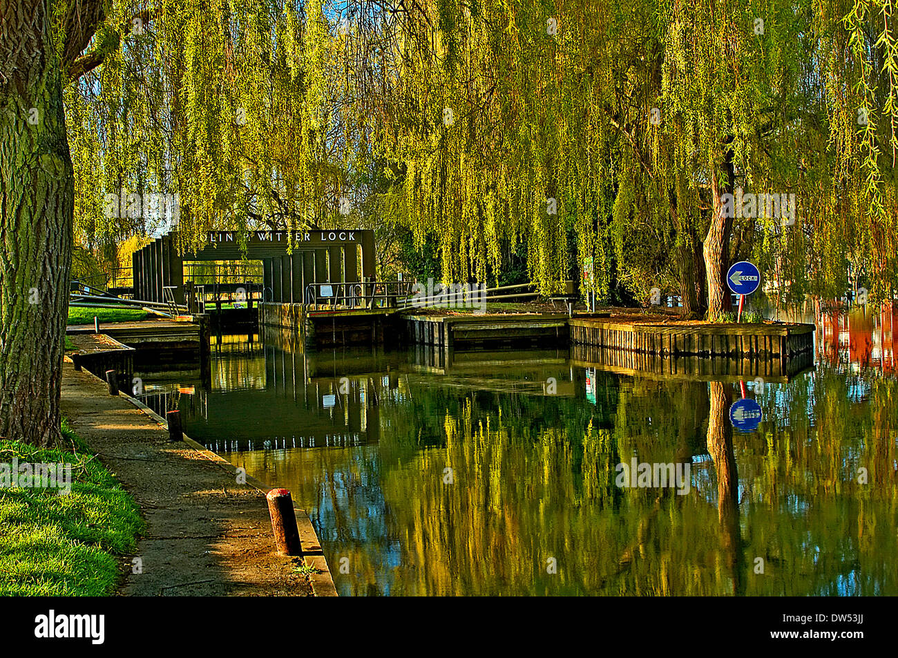 Colin P Witter lockgates sul fiume Avon a Stratford upon Avon è circondato da alberi di salice. Foto Stock