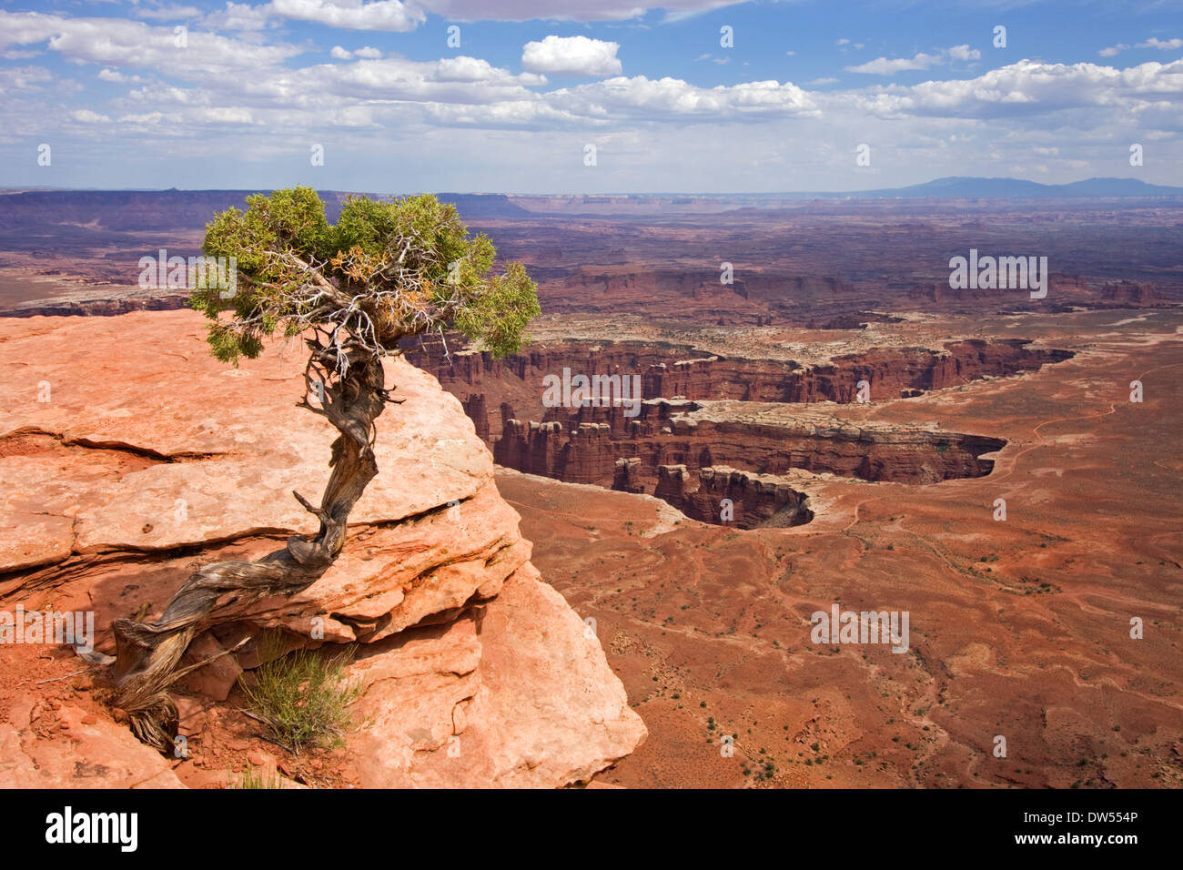 Il Parco Nazionale di Canyonlands in Utah, Stati Uniti d'America. Island in the Sky distretto. Foto Stock