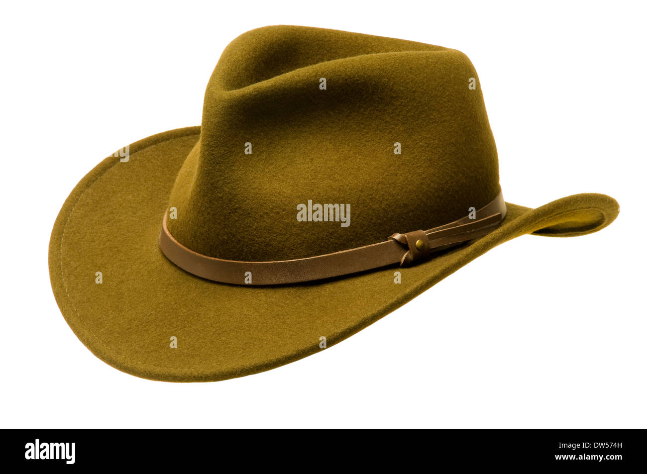 Green Adirondack hat con ampia feltro orlo, isolata contro bianco Foto Stock