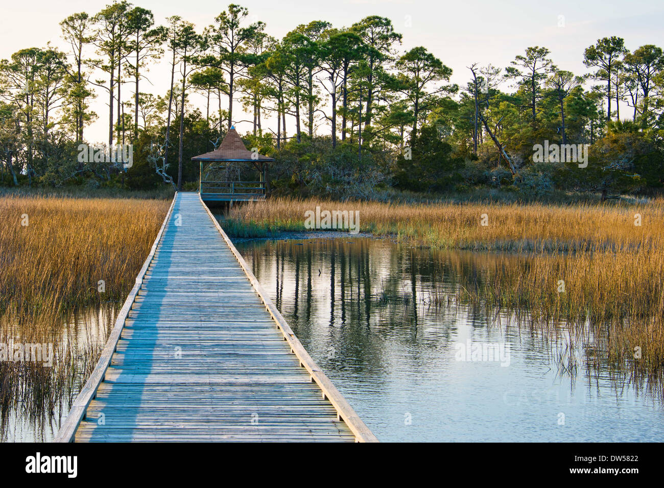 Marsh Boardwalk a caccia Island State Park, Carolina del Sud Foto Stock