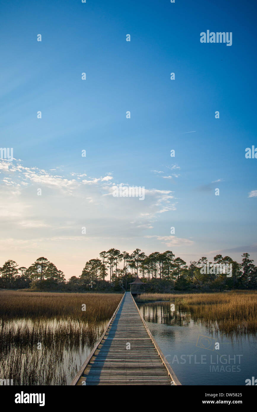 Marsh Boardwalk a caccia Island State Park, Carolina del Sud Foto Stock