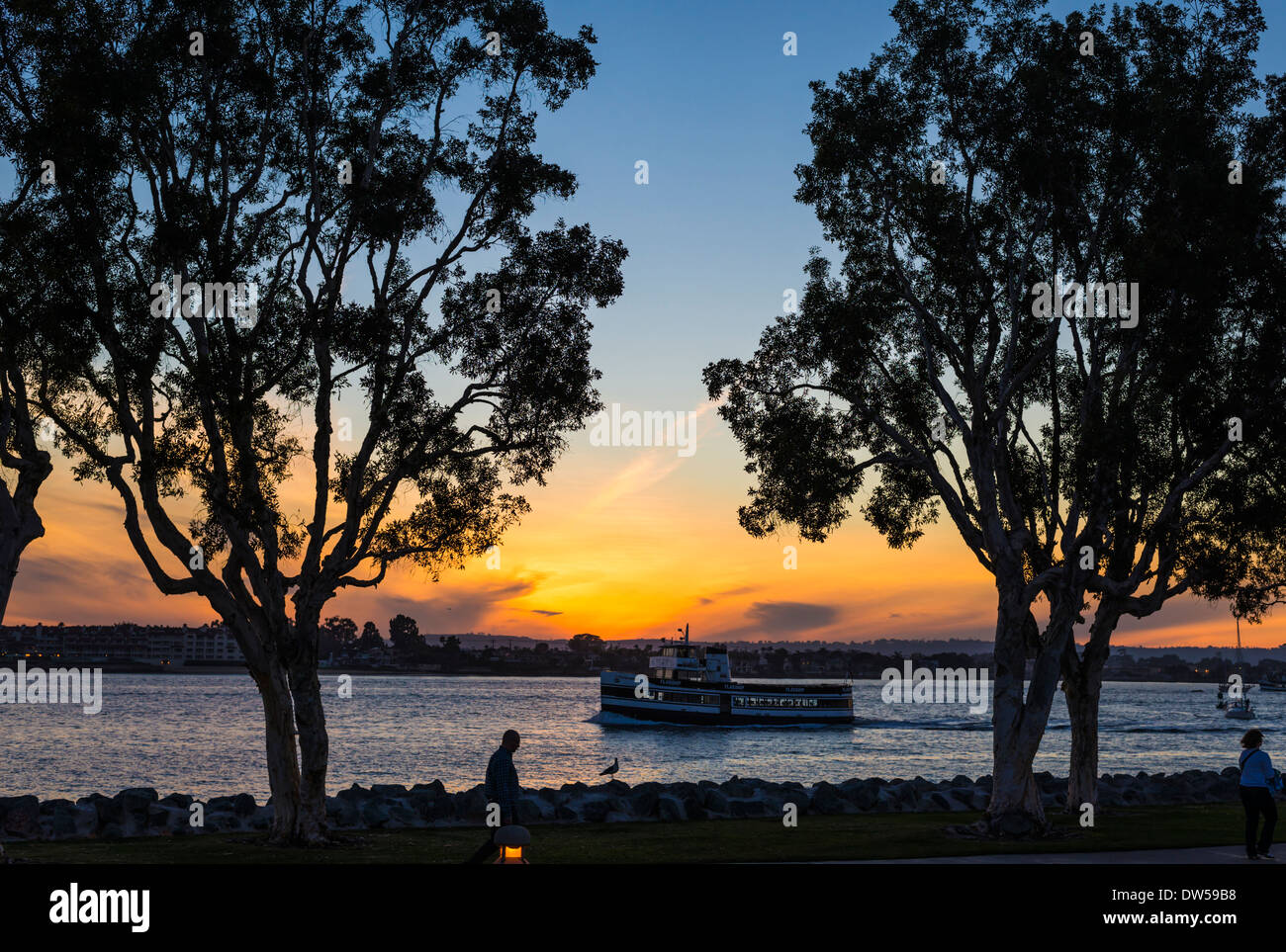 Embarcadero Marina Park alberi durante il tramonto. San Diego, California, Stati Uniti. Foto Stock