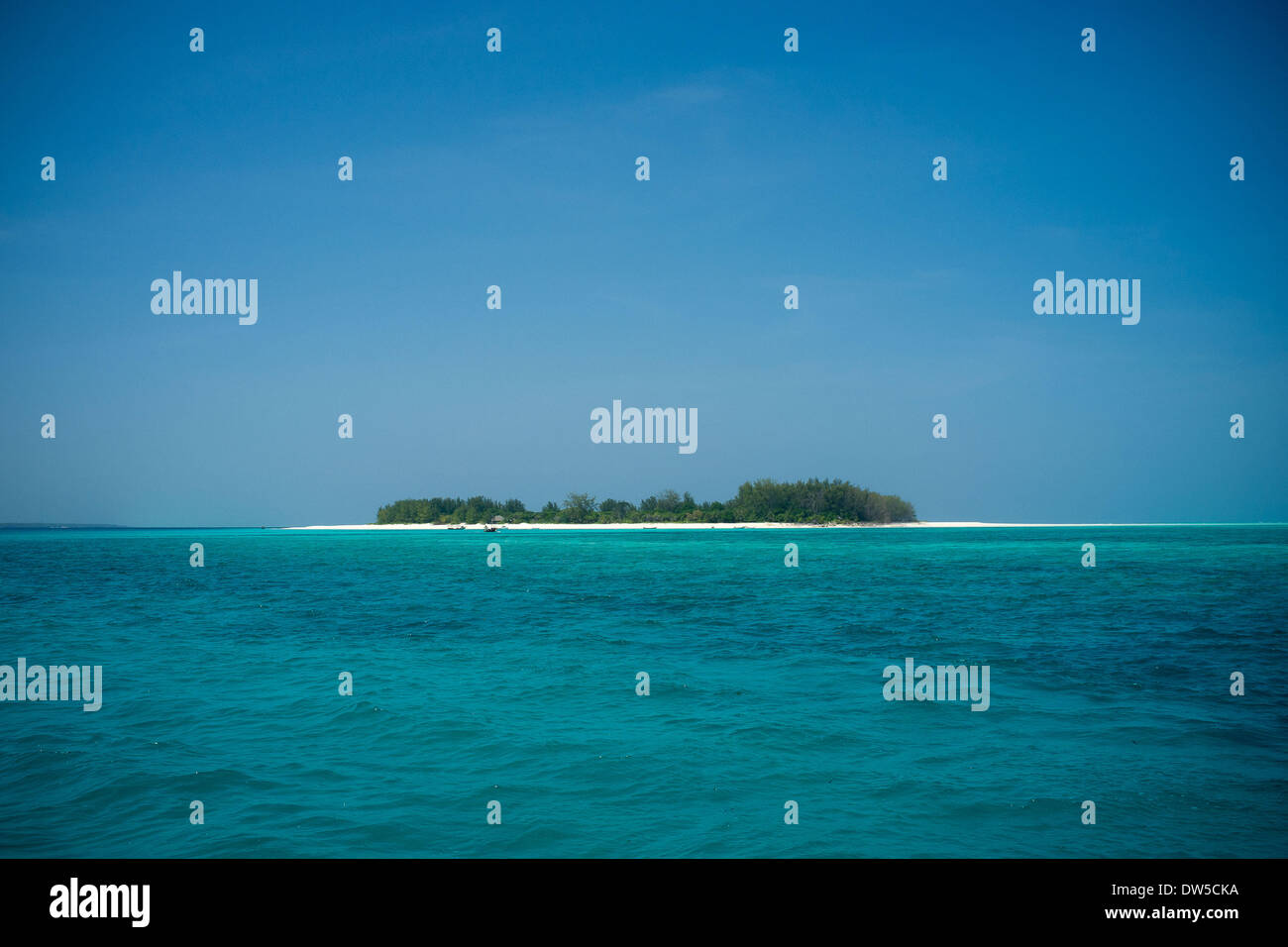 Mnemba Island è una piccola isola contenente a Zanzibar nell'Oceano Indiano. Foto Stock