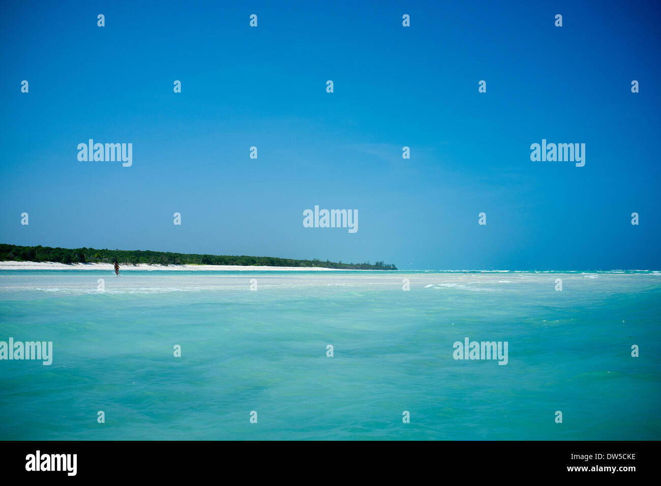 Mnemba Island è una piccola isola contenente a Zanzibar nell'Oceano Indiano. Foto Stock