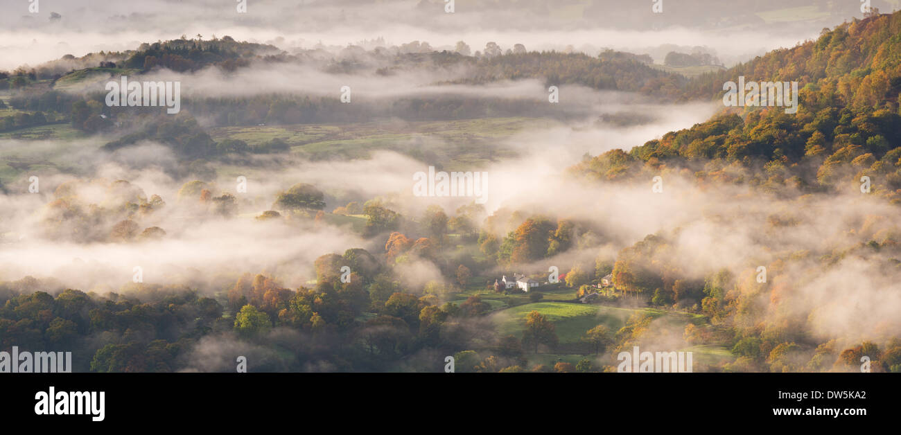 Nebbia copriva il paesaggio del Parco Nazionale del Distretto dei Laghi, Cumbria, Inghilterra. In autunno (ottobre 2012). Foto Stock