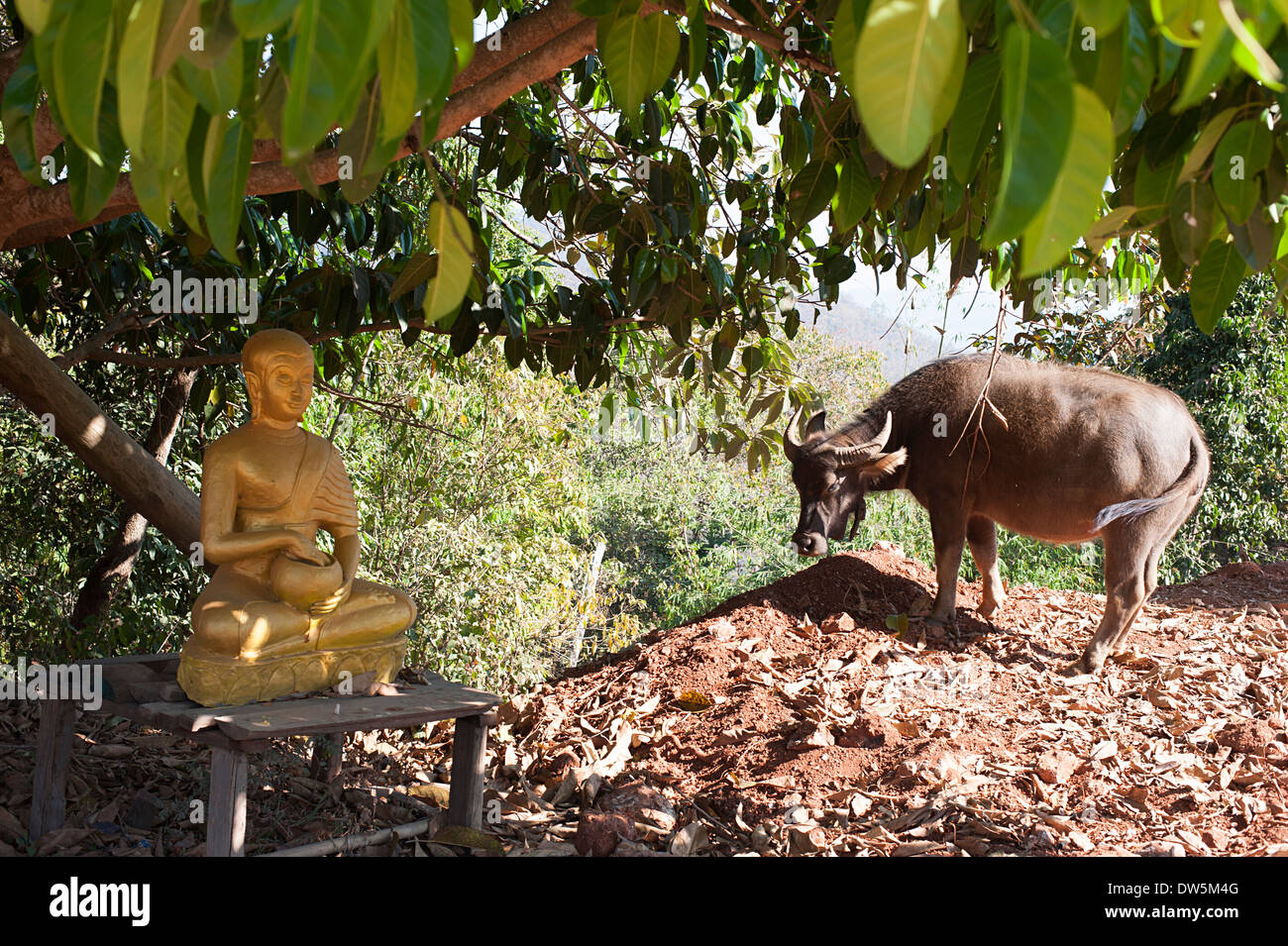 Il Buddha e il bufalo soddisfare in alto al tempio motivi in Huay Pakoot village, nel nord della Thailandia. Foto Stock