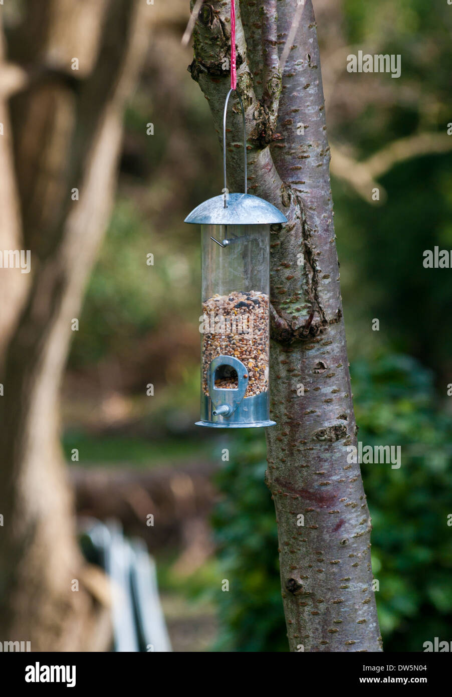 Giardino semi di metallo Bird Feeder Foto Stock