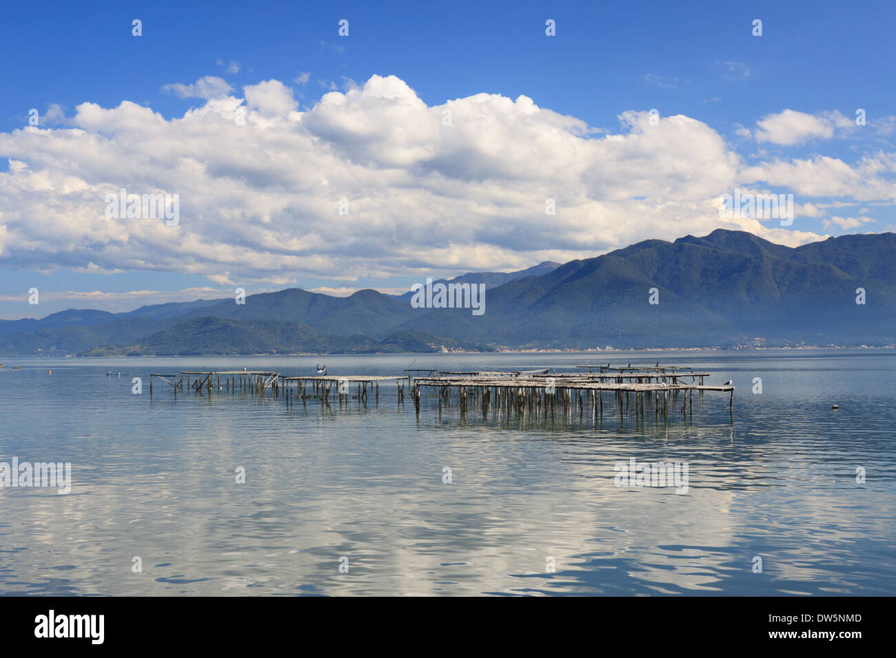 Questa foto è stata scattata a Florianópolis, Santa Catarina, Brasile Foto Stock