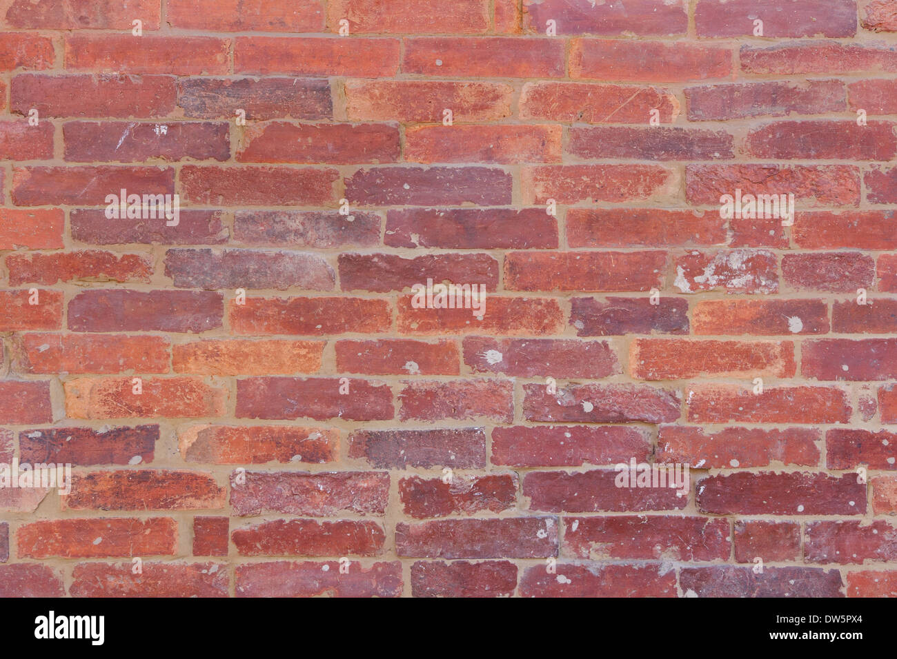 Rosso arancione la parete in mattoni con schizzi di fango Foto Stock