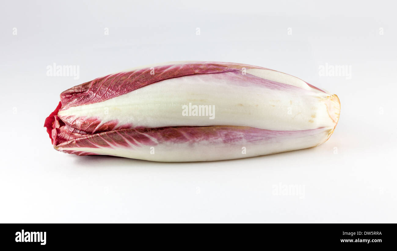 Radichio è un perenne cicoria a foglia con un amaro sapore speziato e utilizzato un vegetale, bollito, alla griglia o arrosto. Foto Stock Radichio è un perenne cicoria a foglia con un amaro sapore speziato e utilizzato un vegetale, bollito, alla griglia o arrosto. Foto Stock