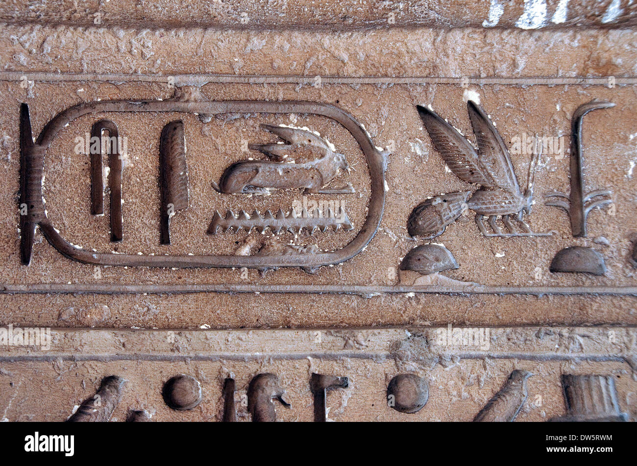 Il cartiglio posto nella falsa porta di mastaba di Unas a Saqqara Foto Stock