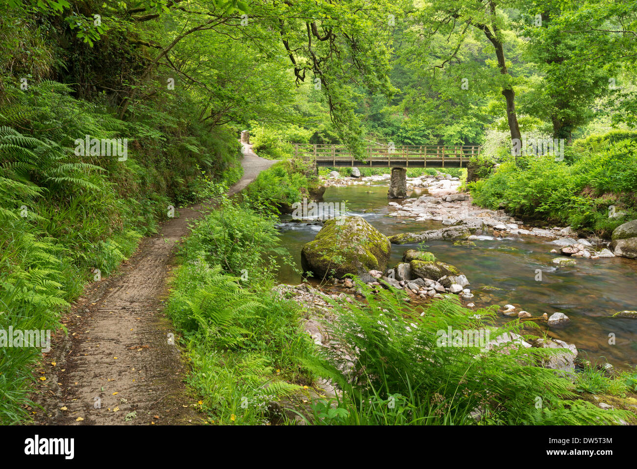 Oriente Lyn River a Watersmeet, Parco Nazionale di Exmoor, Devon, Inghilterra. Per il periodo estivo (Giugno) 2013 Foto Stock