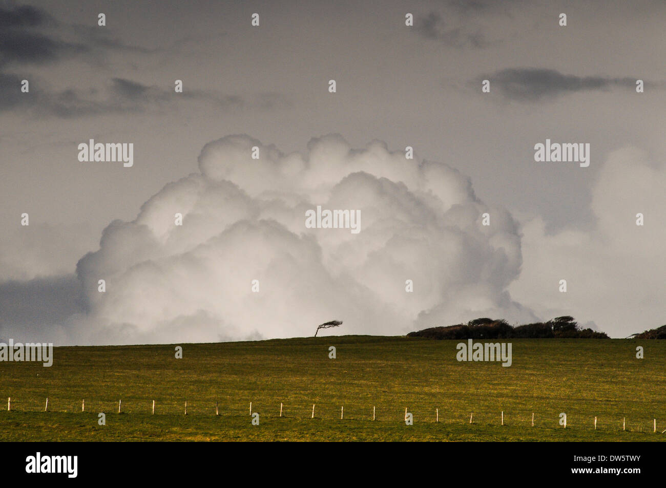 Birling Gap e Sette sorelle, East Sussex, Regno Unito..28 Feb 2014.le nuvole appaiono all'orizzonte, come enormi palle di cotone come pioggia approcci. Un glorioso molla come giorno con docce sulle colline sopra Birling Gap. David Burr/ Alamy Live News. Foto Stock