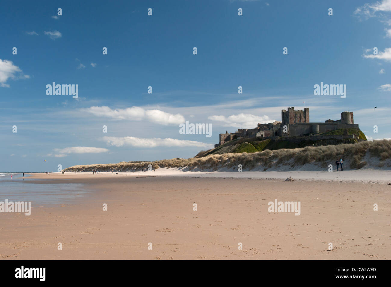 Il castello di Bamburgh sulla costa Northumbrian, Inghilterra, shot dalla spiaggia sotto un luminoso cielo blu. Foto Stock
