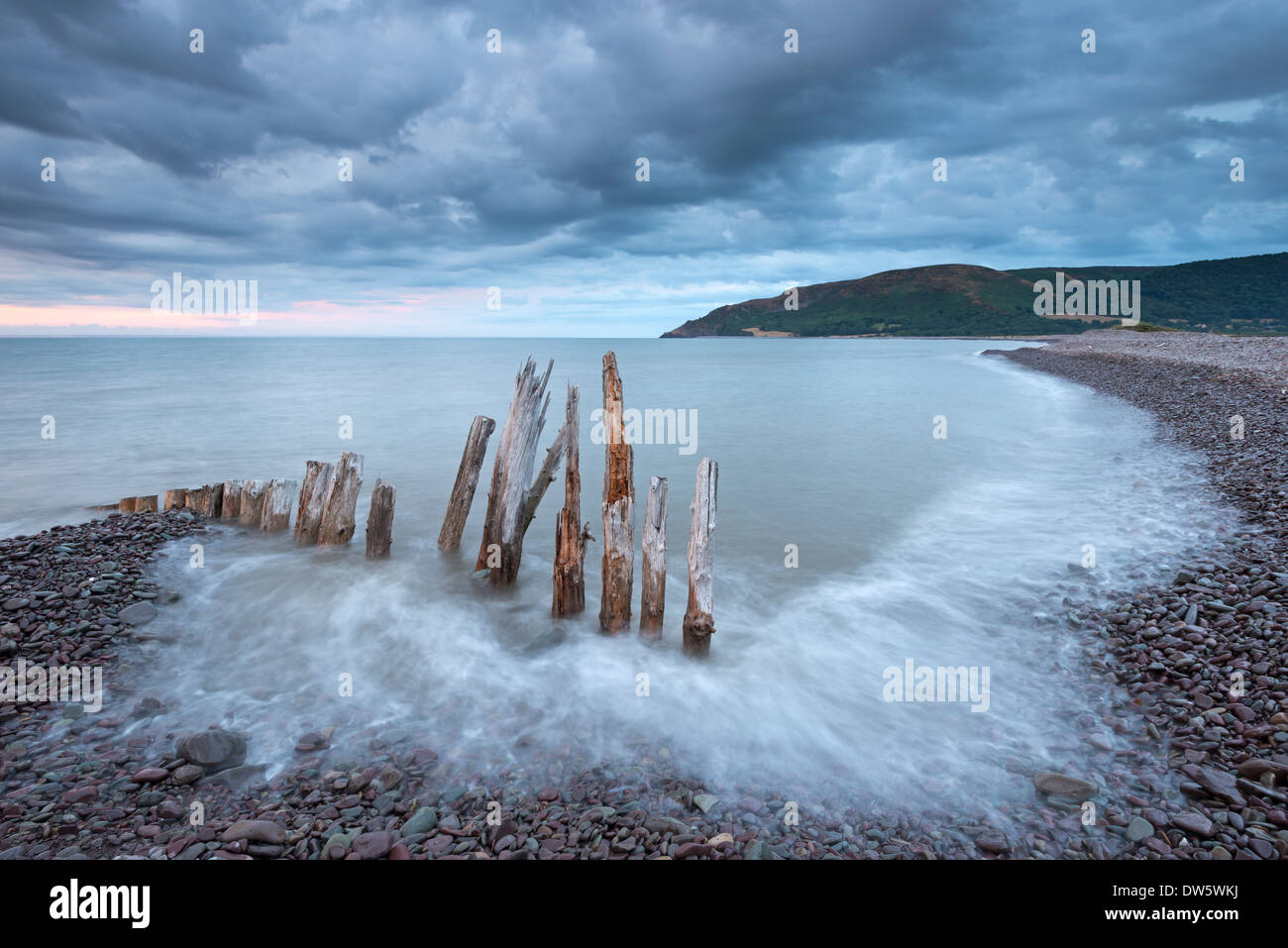 Mare di legno difese a Bossington Beach, Exmoor, Somerset, Inghilterra. In estate (Luglio) 2013. Foto Stock