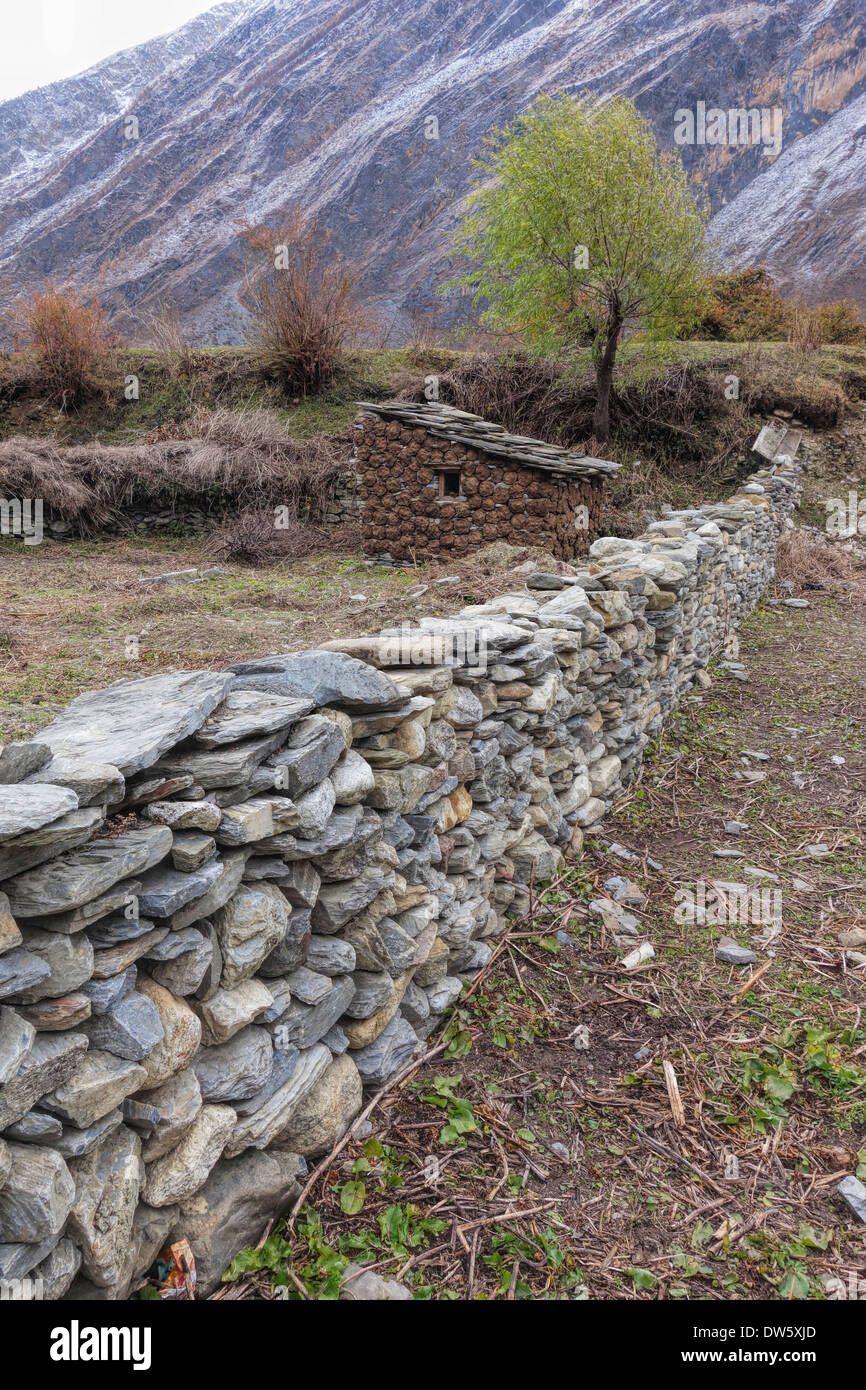 Parete di roccia e versato in Tsum Valle del Nepal. Il bestiame bovino sterco asciugatura sul muro sarà utilizzato come combustibile. Foto Stock