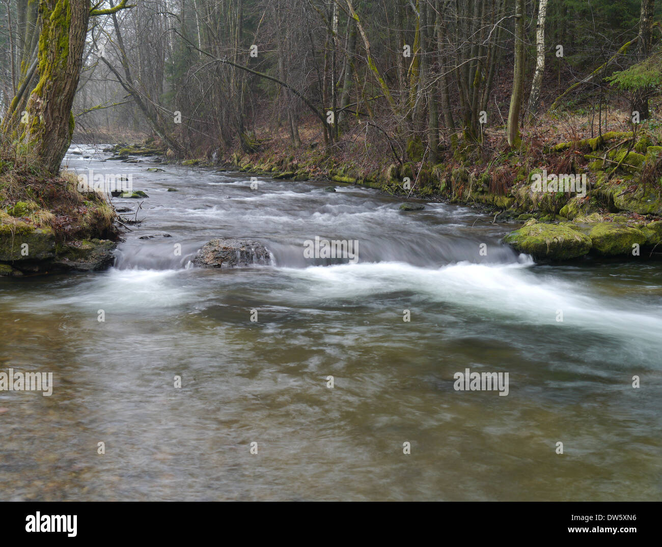 Il fiume selvaggio in primavera Foto Stock