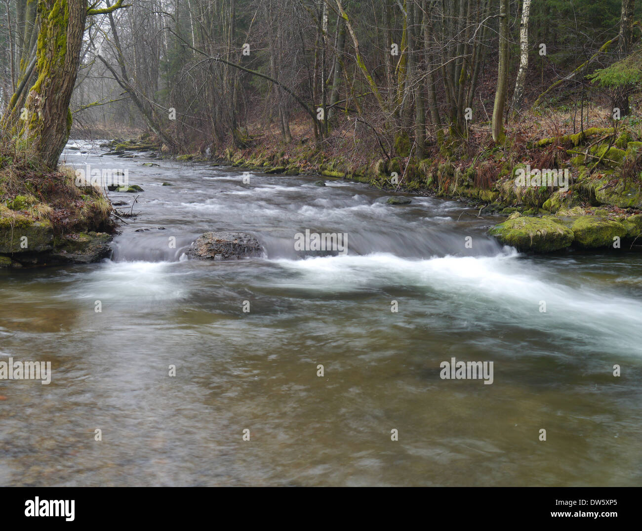 Il fiume selvaggio in primavera Foto Stock
