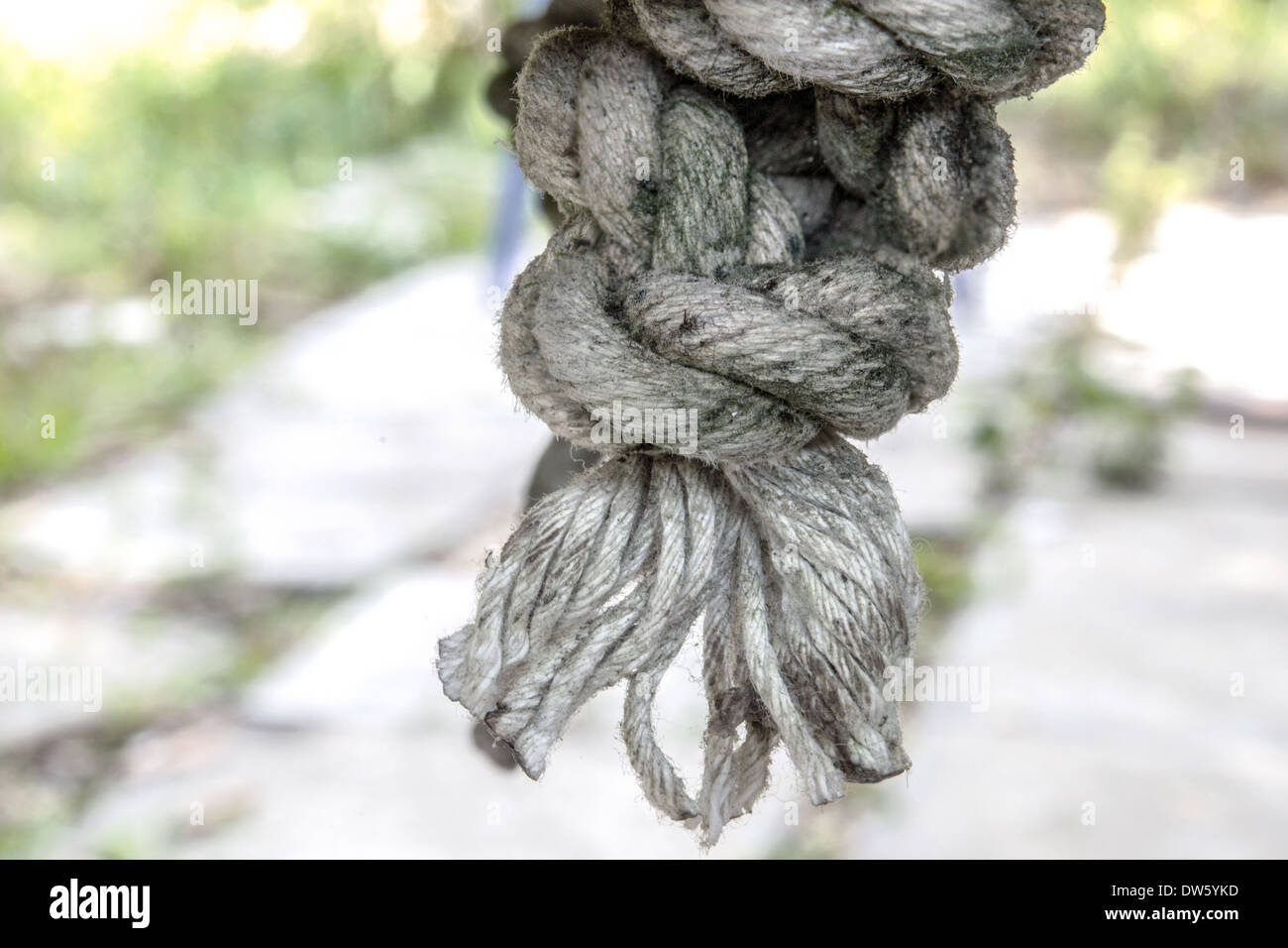Un grungy funi in nylon utilizzato per appendere un swing. Foto Stock