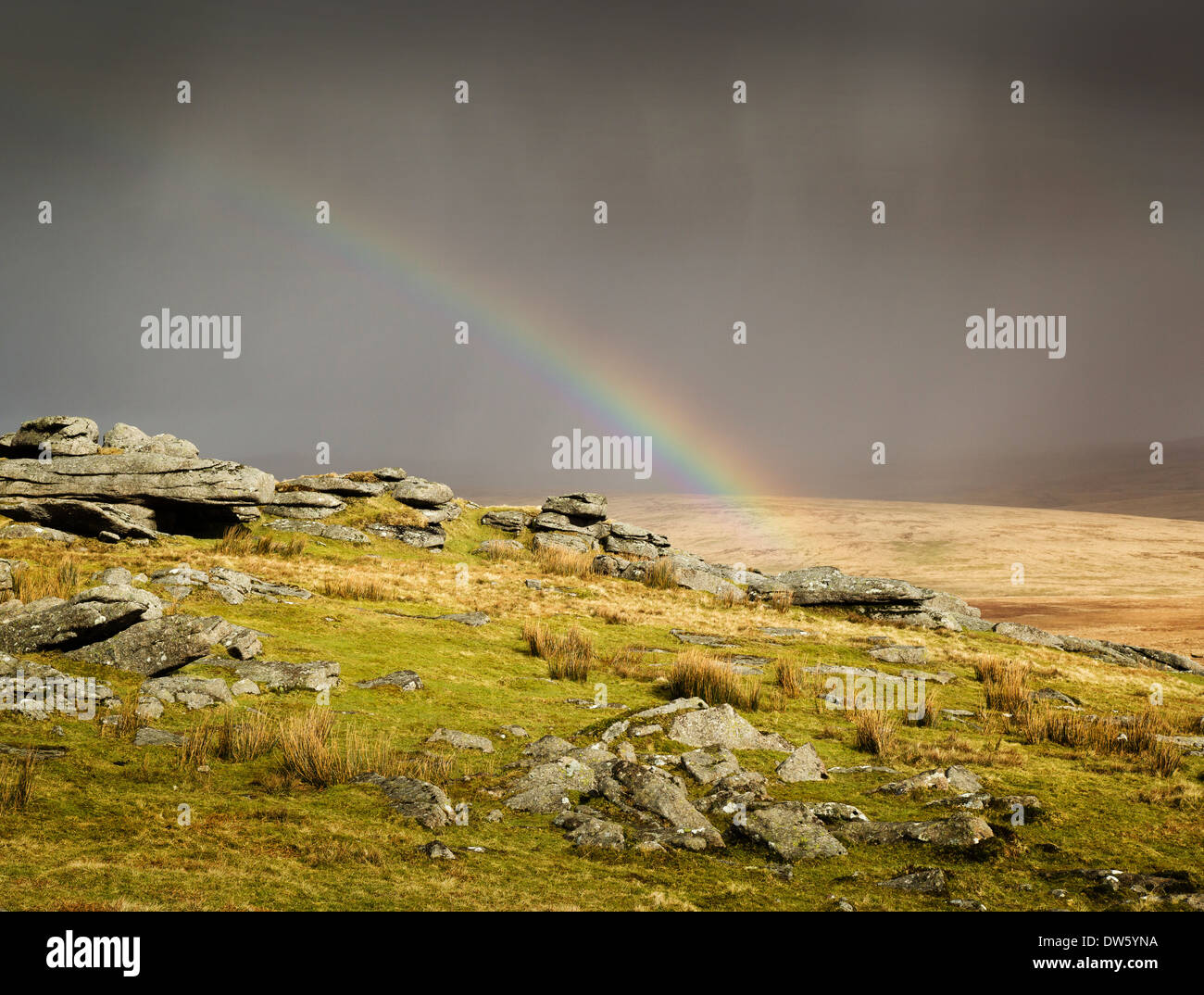 Rainbow dopo la cancellazione di pioggia sul Dartmoor al grande Mis Tor UK Foto Stock