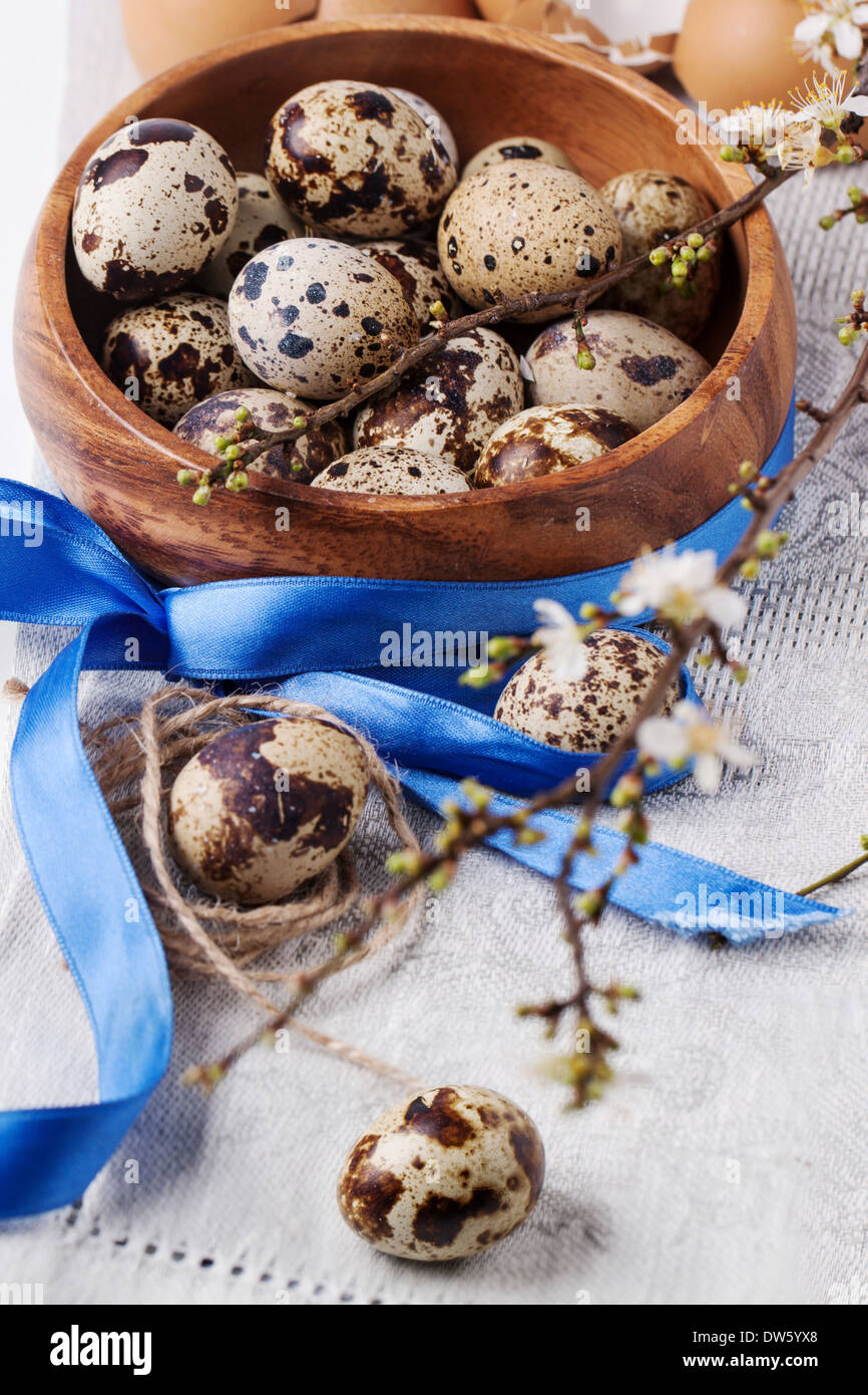 Ciotola di legno di uova di quaglia con il fiore di diramazione e di nastro blu su grigio tovagliolo tessili Foto Stock