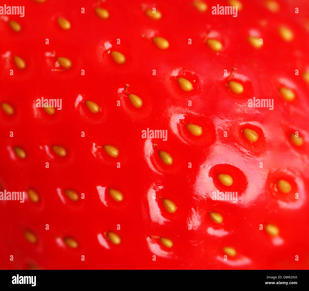 Le fragole di sfondo. Foto Stock