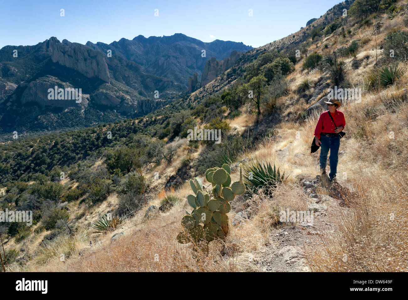 Escursionismo Chiricahua Mountains, portale, Arizona Foto Stock