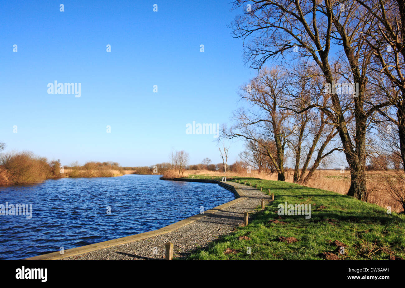 Una vista della flotta Dike e il sentiero sulla Norfolk Broads a South Walsham, Norfolk, Inghilterra, Regno Unito. Foto Stock