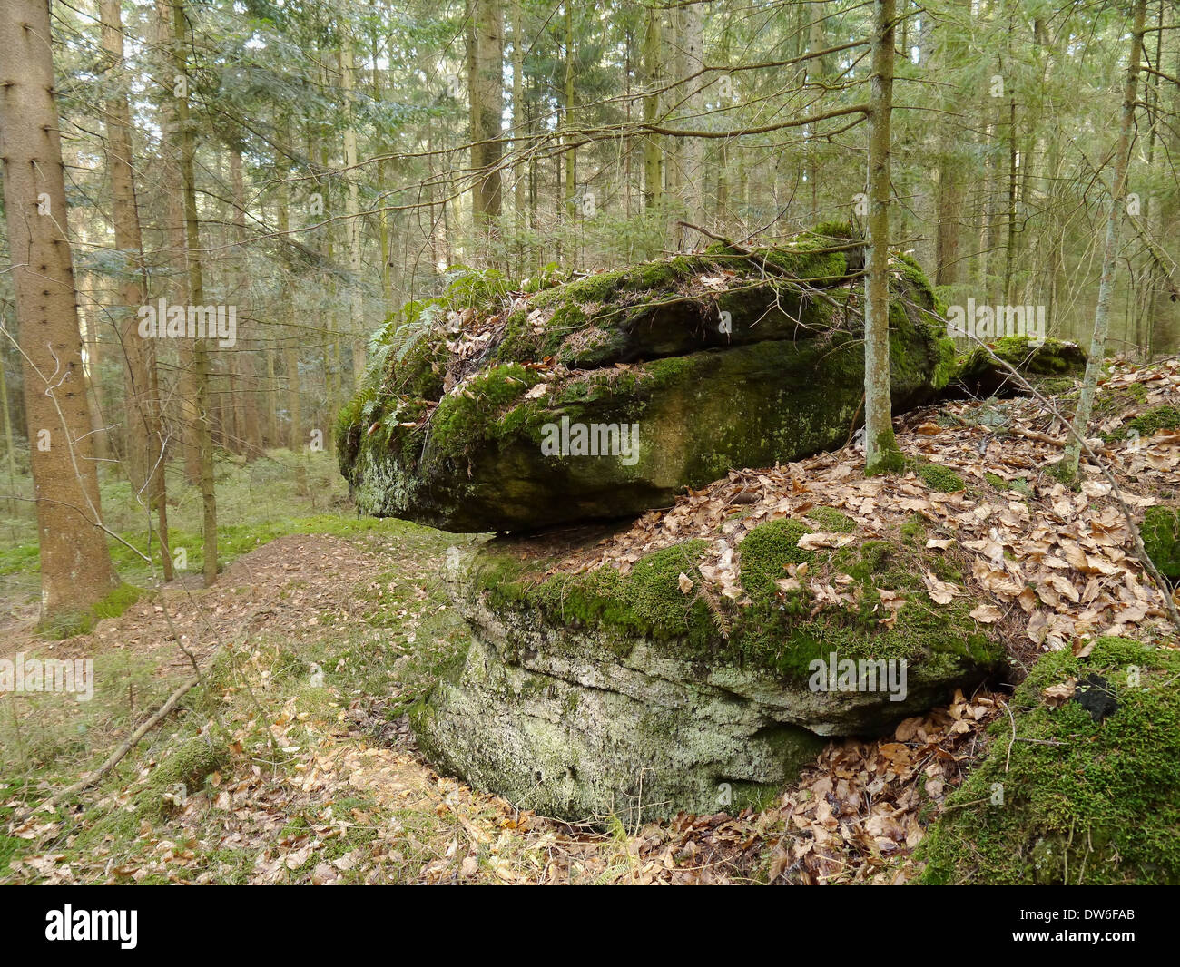 Monolito / geological costituito da un singolo massiccio di roccia in parco di natura superiore della foresta bavarese, Germania Foto Stock