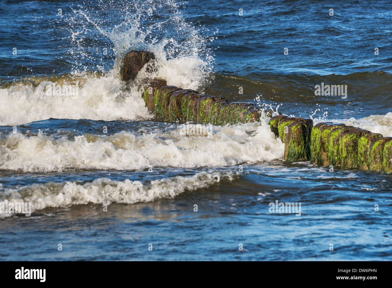 Pennelli sulla spiaggia del Mar Baltico nei pressi di Bansin, isola di Usedom, Meclemburgo-Pomerania Occidentale, Germania, Europa Foto Stock