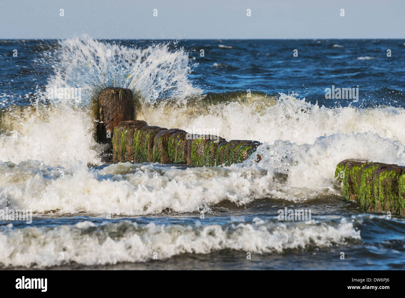 Pennelli sulla spiaggia del Mar Baltico nei pressi di Bansin, isola di Usedom, Meclemburgo-Pomerania Occidentale, Germania, Europa Foto Stock