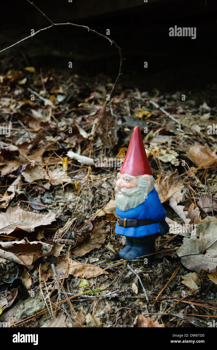 Piccolo giardino gnome permanente sulla figliata di foglia sul suolo della foresta Foto Stock