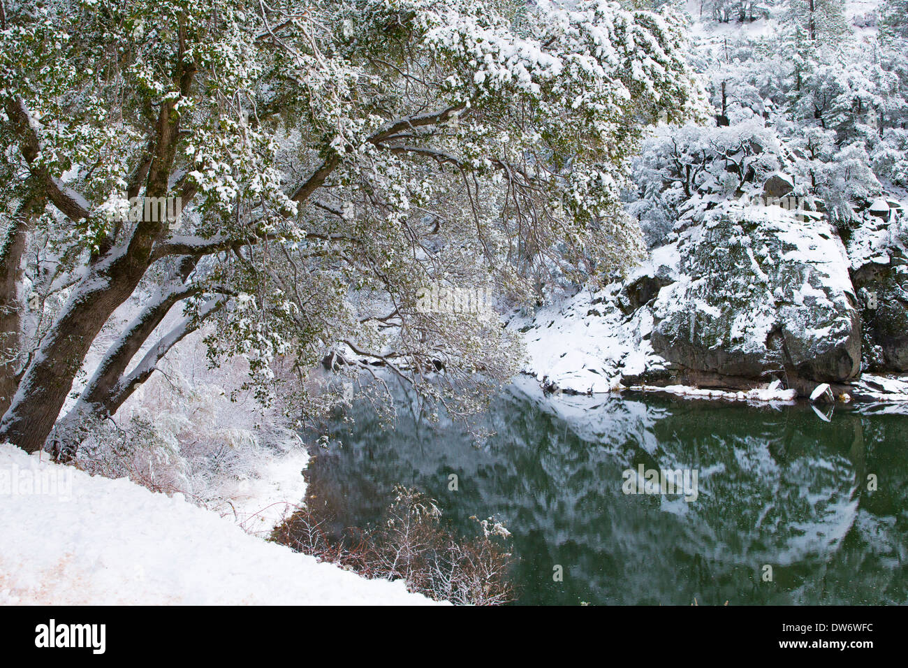 Una spolverata di neve copre le rive della forcella del nord del fiume di piume Foto Stock