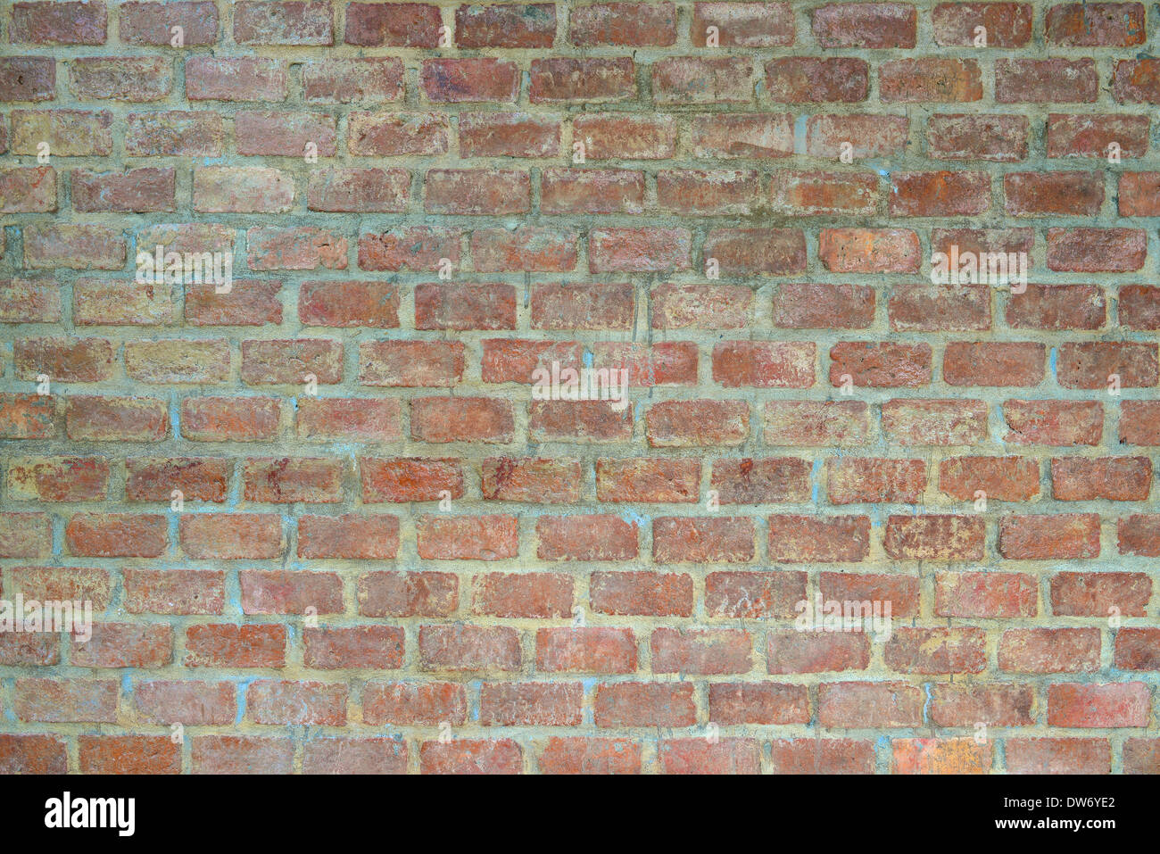 muro di mattoni Foto Stock