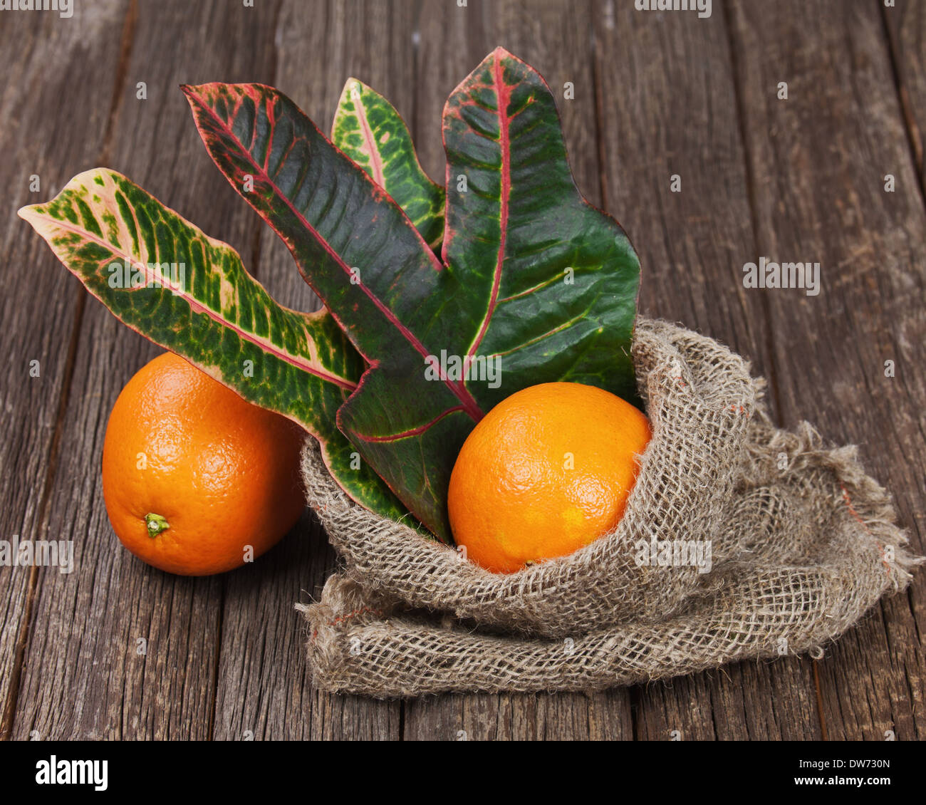 Natura morta con arance sul tavolo di legno. Primo piano. Foto Stock