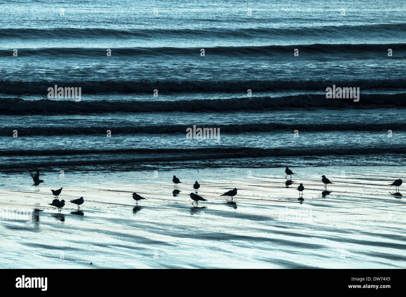 Seaton Carew nr Hartlepool, Regno Unito. 2 marzo 2014. Nonostante la pioggia essendo previsioni per gran parte del Regno Unito di Domenica è stato un glorioso tramonto sulla costa nord est dell'Inghilterra. Credito: ALANDAWSONPHOTOGRAPHY/Alamy Live News Foto Stock