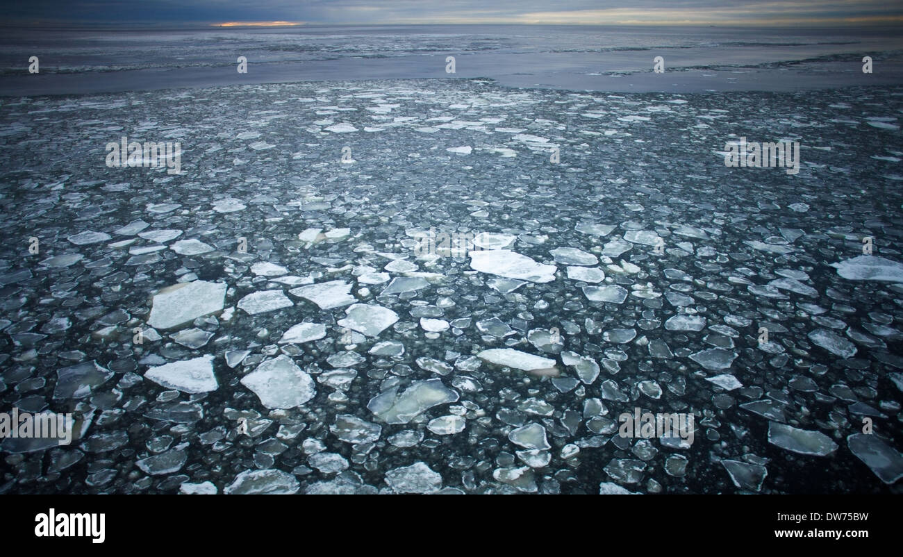 Punteruolo di ghiaccio nel Mar Baltico Foto Stock