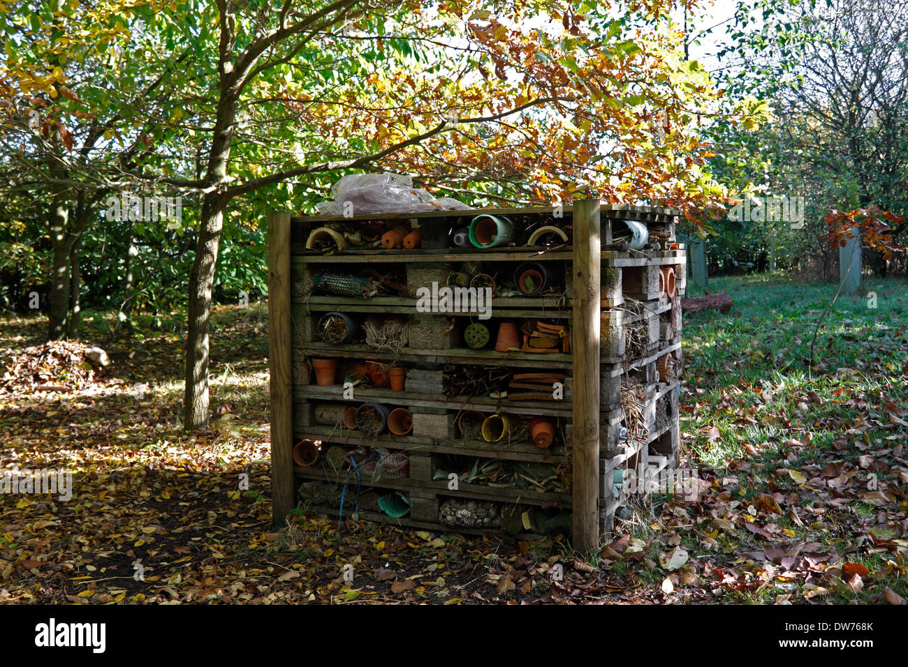 GARDEN HOTEL di bug. LODGE di insetti. Foto Stock