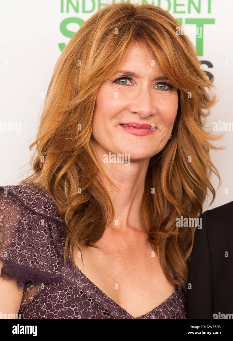 LAURA DERN 2014 LO SPIRITO INDIPENDENTE AWARDS SANTA MONICA STATI UNITI D'AMERICA 01 Marzo 2014 Foto Stock