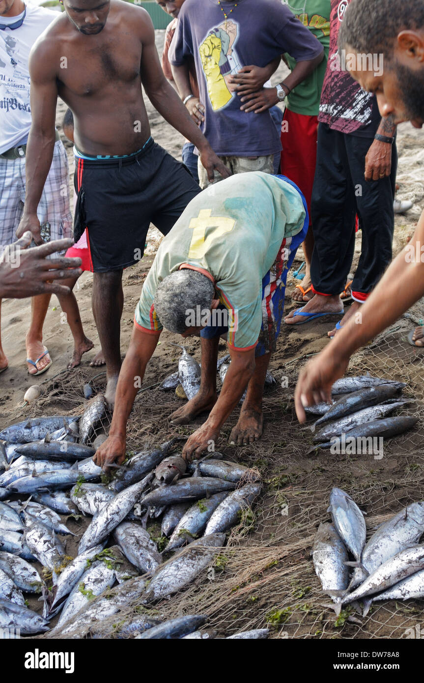 Locali contrattare per di fresco pesce sbarcato sulla spiaggia al porrto Novo, Capo Verde. Foto Stock