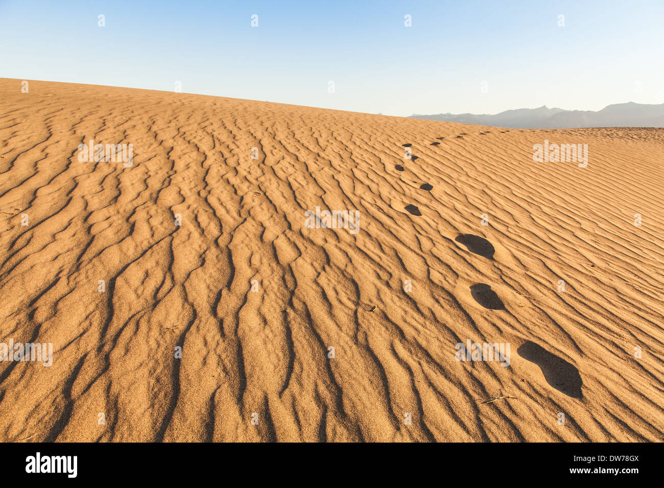 Le dune di sabbia di Mesquite piatto nella Valle della Morte nel deserto - California Foto Stock