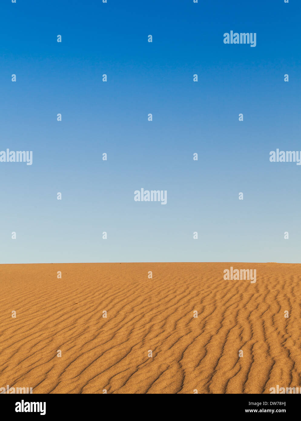 Le dune di sabbia di Mesquite piatto nella Valle della Morte nel deserto - California Foto Stock