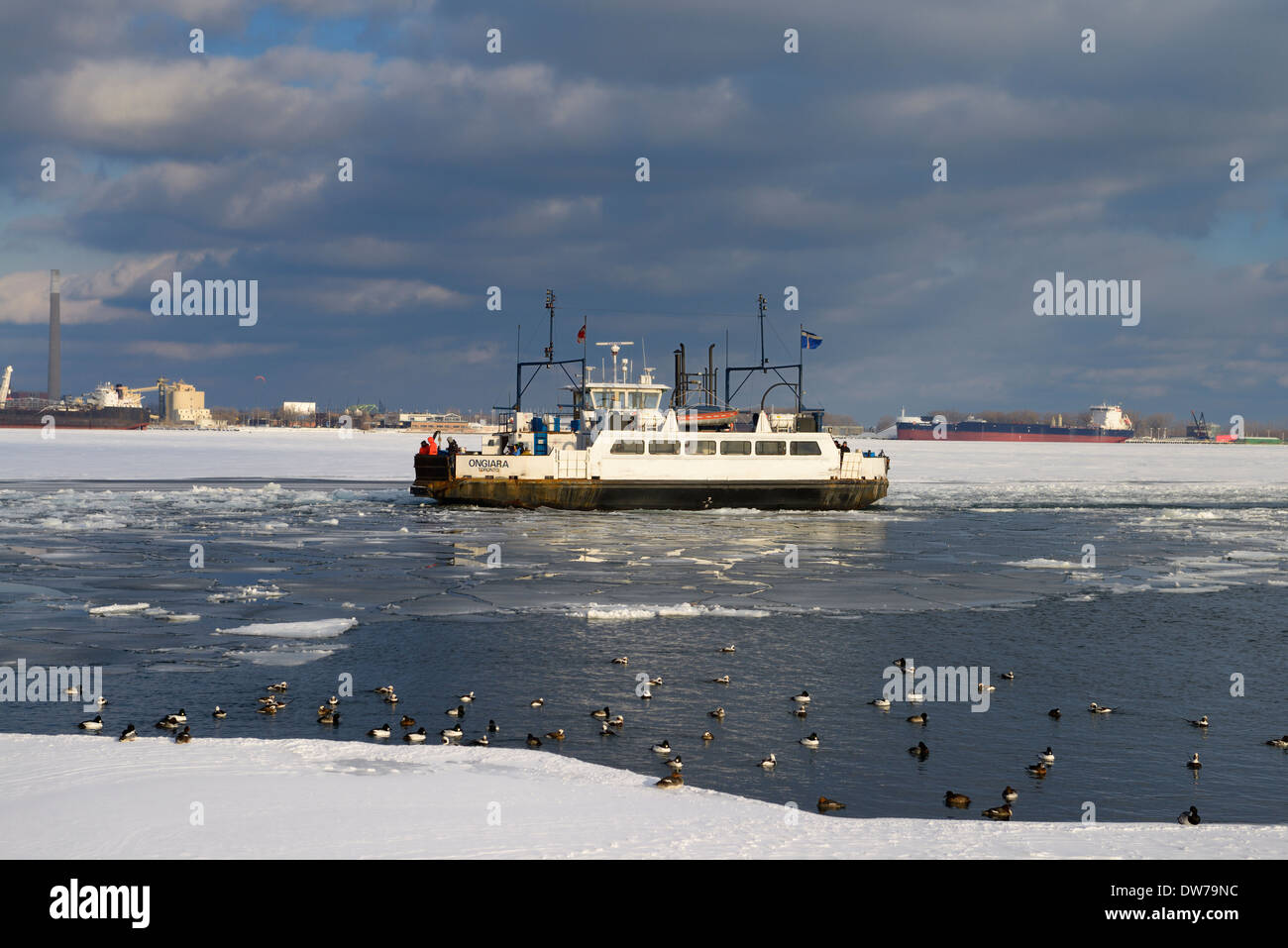 Reparti di degenza Island Ferry docking arrivando a Toronto il terminale con le anatre in acque aperte sul lago ghiacciato di Ontario in inverno Foto Stock