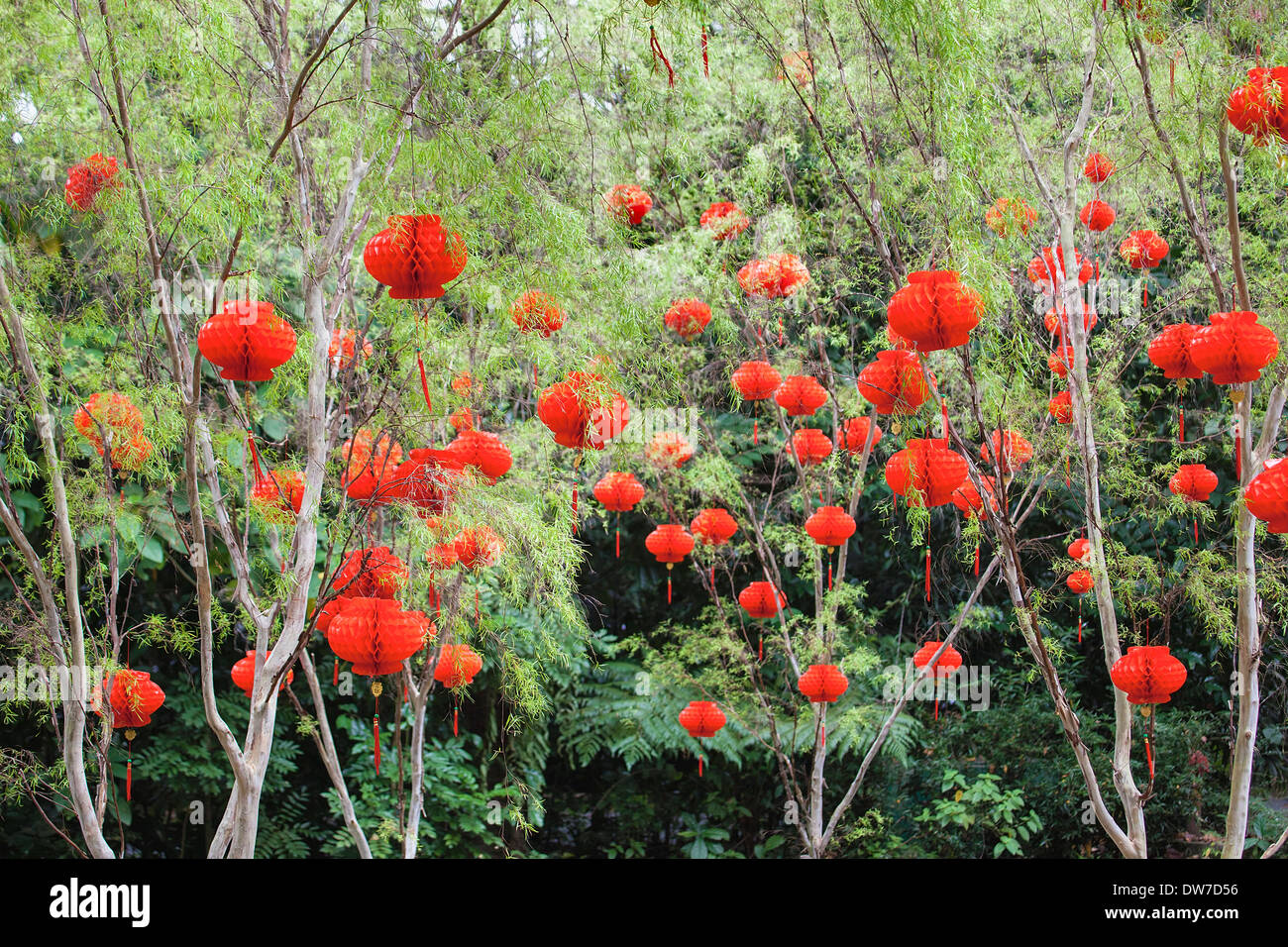 Anno Nuovo Cinese lanterne rosse Decorazione e nappe con la prosperità del testo su una placca appesi sugli alberi Foto Stock