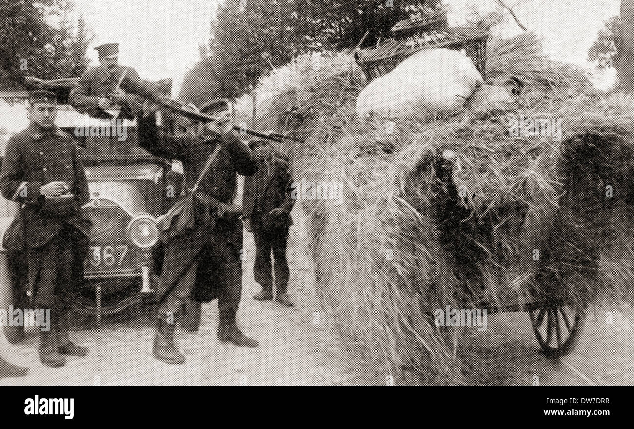 Soldati in cerca di spie tedesche cerca un haywagon utilizzando baionette in Aarschot, Belgio durante la prima guerra mondiale. Foto Stock