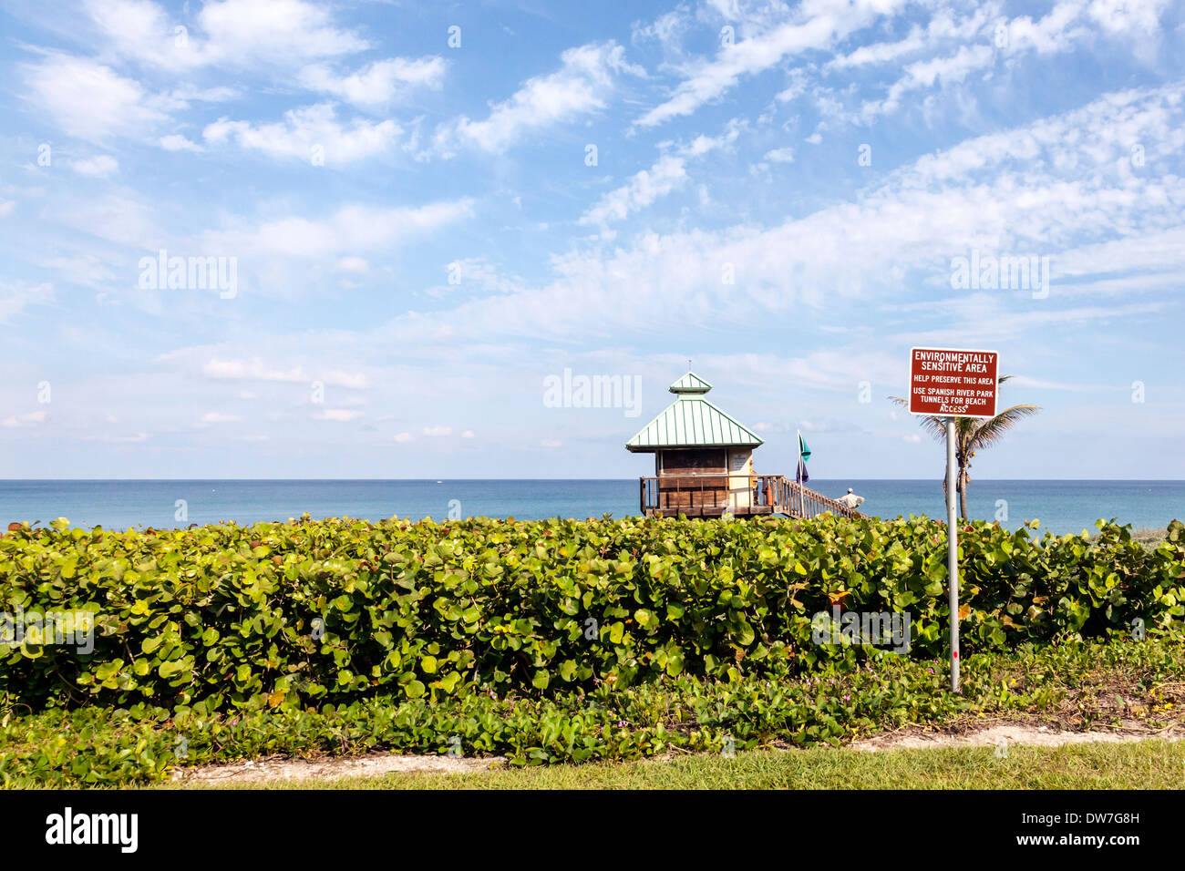 Seagrape e una spiaggia pavilion di sensibili dal punto di vista ambientale area della spiaggia di spagnolo River Park vicino a Palm Beach, Florida, Stati Uniti d'America Foto Stock